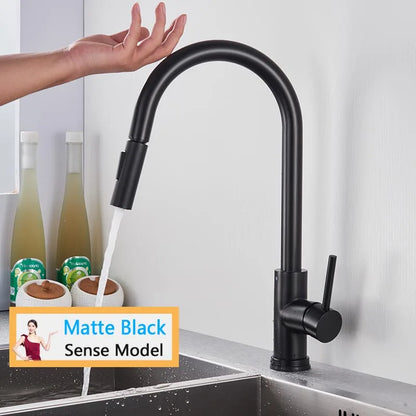 Rozin Smart Touch Kitchen Faucet - Black & Nickel Pull Out Sensor Faucet with 360° Rotation