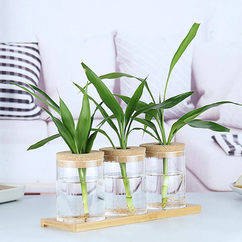 1pc Transparent Hydroponic Flower Pot Glass Soilless Planting Potted Green Plant  Flower Pot Home Vase Decoration