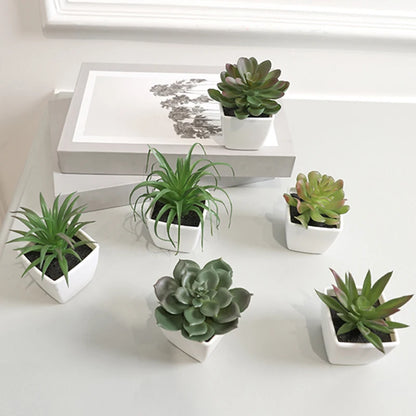 6PCS Home Decoration, Mini Evergreen Artificial Succulent Small Potted Plants