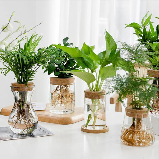 1pc Transparent Hydroponic Flower Pot Glass Soilless Planting Potted Green Plant  Flower Pot Home Vase Decoration