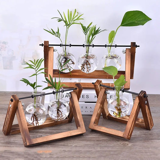 Hydroponic Plant Vases Glass Vase Vintage Bonsai Flower Pot Terrarium Tabletop Tray Wooden Frame Home Decor