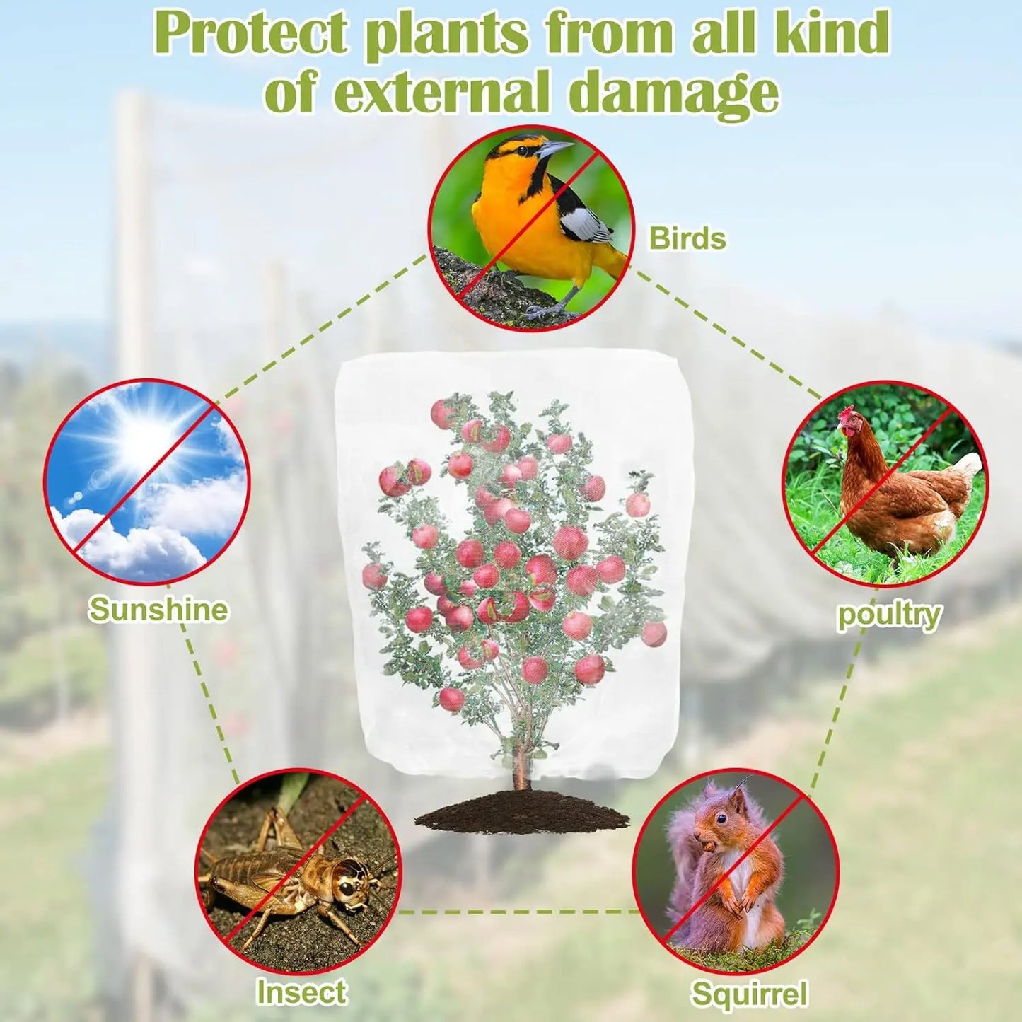 Vegetables Plant Insect Protection Net Garden Fruit Care Cover Flowers Greenhouse Protective Net Pest Control Anti-Bird 60 Meshs