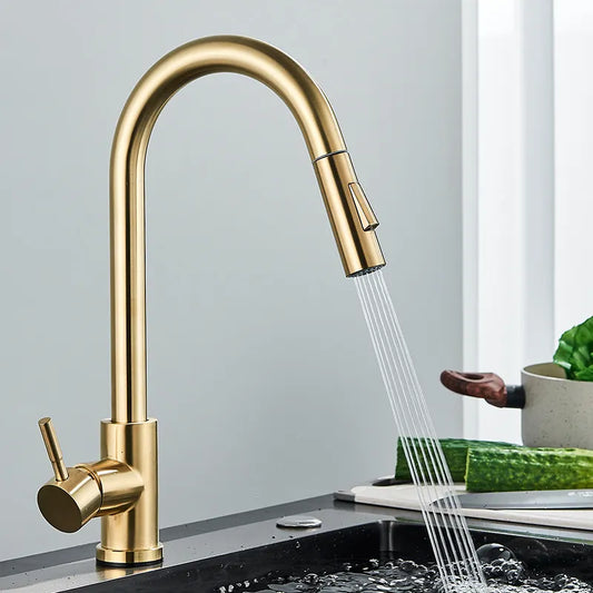 Kitchen Faucet Pull Out Kitchen Sink Water Tap Single Handle Mixer Tap 360 Rotation Kitchen Shower Faucet